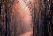 梦幻组合出击：内马尔与哈兰德双双进球领先