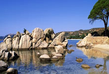 俄罗斯逼平瑞典，小组出线形势严峻